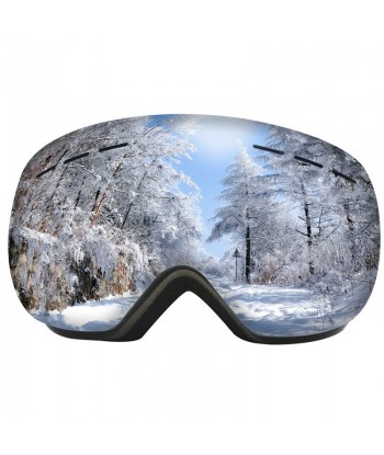 Adult ski goggles big spherical glasses cocaine myopia/HX06 double anti-fog