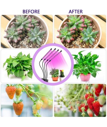 Grow Light, Plant Lights for Indoor Plants with Wireless Remote Control, Auto ON&Off Full Spectrum Plant Lights