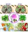 Grow Light, Plant Lights for Indoor Plants with Wireless Remote Control, Auto ON&Off Full Spectrum Plant Lights