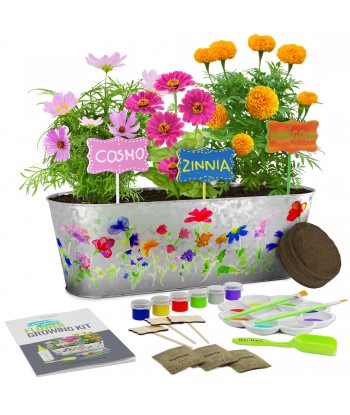 Paint & Plant Flower...