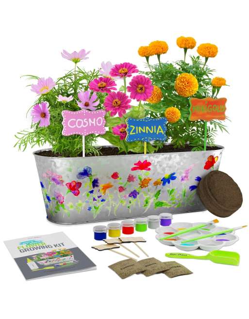 Paint & Plant Flower Growing Kit - Kids Gardening Science Gifts for Girls and Boys Ages 4 5 6 7 8 9 10 11