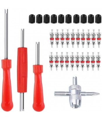 Valve Core Tool Set with 20Pcs Valve Cores 10Pcs  Valve Tool Dual Single Head Valve Core Remover Tire Repair Tool