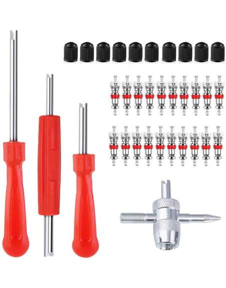 Valve Core Tool Set with 20Pcs Valve Cores 10Pcs  Valve Tool Dual Single Head Valve Core Remover Tire Repair Tool