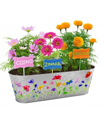 Paint & Plant Flower Growing Kit - Kids Gardening Science Gifts for Girls and Boys Ages 4 5 6 7 8 9 10 11