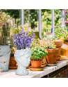 Face Planter Pot Head Planter Pot Female Statue Head Planter, 10.5" Cement Woman Face Pot for Indoor Outdoor, Flower Vase