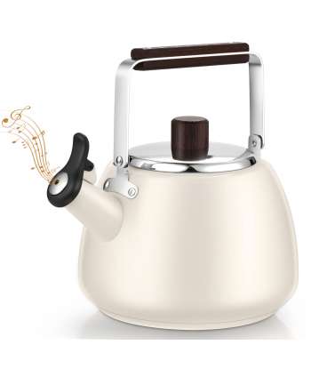 Tea Kettle Stovetop Modern Whistling Tea Kettle Surgical Stainless Steel