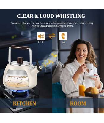 Tea Kettle Stovetop Modern Whistling Tea Kettle Surgical Stainless Steel