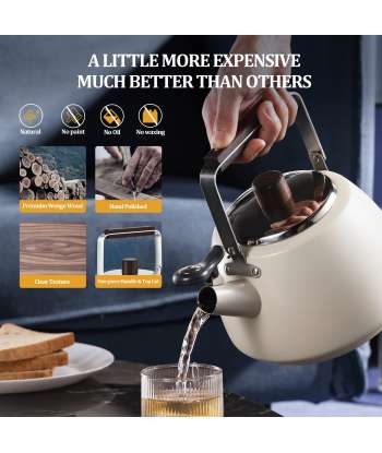 Tea Kettle Stovetop Modern Whistling Tea Kettle Surgical Stainless Steel