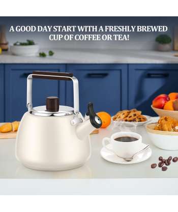Tea Kettle Stovetop Modern Whistling Tea Kettle Surgical Stainless Steel