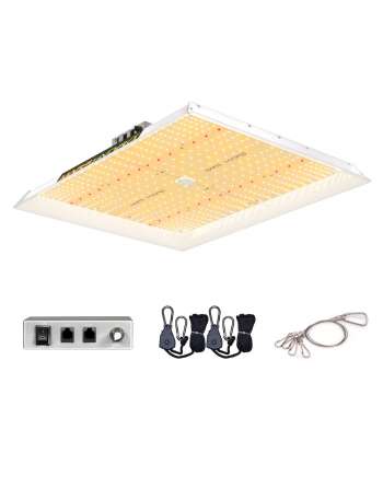 TSW2000 Led Grow Light 300...