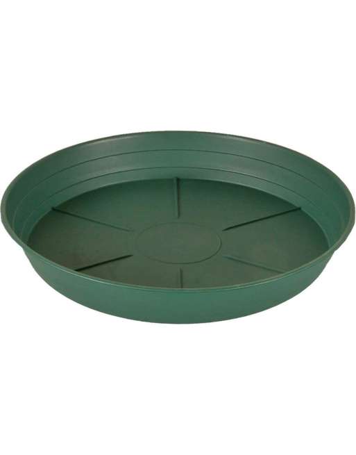 HGS14P Green Premium Saucer 14", Pack of 10, 14 inches