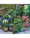 13-Inch Pot Elevators for Plants Plastic Fabric Pots Elevator Saucer Riser Tray Stand Indoor-Outdoor, 6-Pack