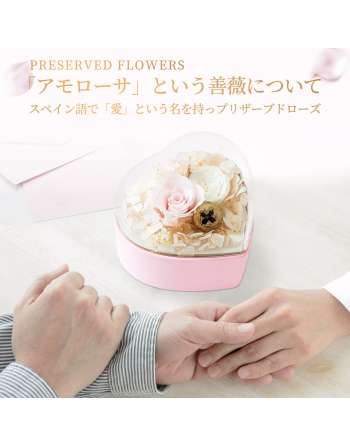 Preserved Flower Jewelry Box [SENJWARM Brand Official Genuine] Never Withering Flower + Necklace