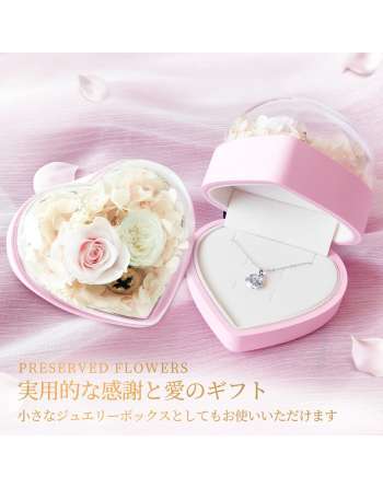 Preserved Flower Jewelry Box [SENJWARM Brand Official Genuine] Never Withering Flower + Necklace