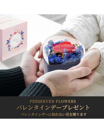 Preserved Flower Jewelry Box Never Withering Flower