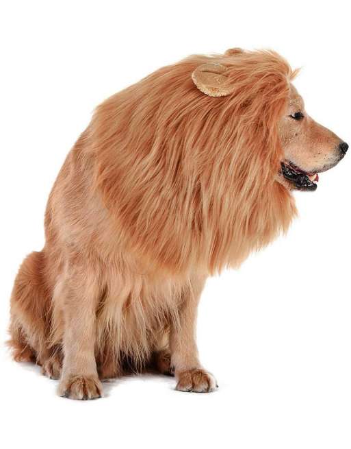 Dog Lion Mane Costume,Lion Mane Wig Costumes for Medium to Large Sized Dog with Ears & Tail