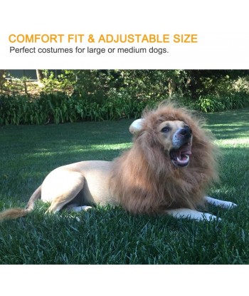 Dog Lion Mane Costume,Lion Mane Wig Costumes for Medium to Large Sized Dog with Ears & Tail