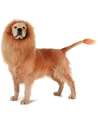 Dog Lion Mane Costume,Lion Mane Wig Costumes for Medium to Large Sized Dog with Ears & Tail