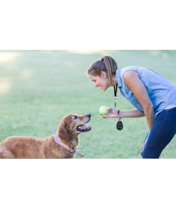 Dog Training Whistle with Clicker, Adjustable Pitch Ultrasonic Dog Training Kit