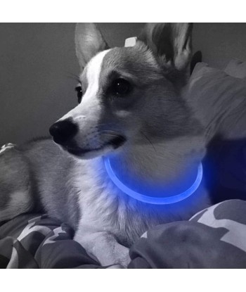 LED Dog Collar - Cuttable Water Resistant Glowing Dog Collar Light Up, USB Rechargeable