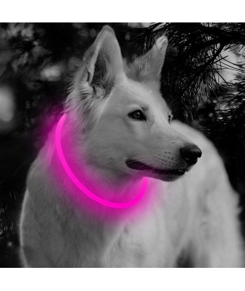 LED Dog Collar - Cuttable Water Resistant Glowing Dog Collar Light Up, USB Rechargeable