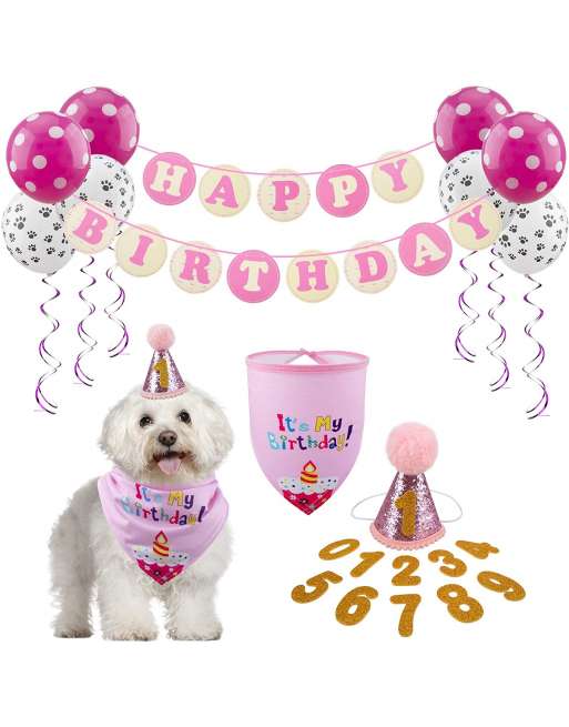 Dog Birthday Bandana Hat with 0-9 Figures Party Supplies Decoration - Banner Balloon Hanging Swirls 1st Birthday Dog Boy Girl