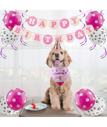 Dog Birthday Bandana Hat with 0-9 Figures Party Supplies Decoration - Banner Balloon Hanging Swirls 1st Birthday Dog Boy Girl