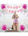 Dog Birthday Bandana Hat with 0-9 Figures Party Supplies Decoration - Banner Balloon Hanging Swirls 1st Birthday Dog Boy Girl