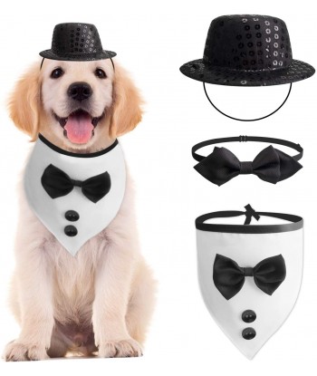 Wedding Dog Bandana Top Hat...