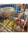 Bird Perch for Cockatiels Parakeet Swing Toys Conures Stand 5 Types of Perches Rough Sand Wood Perch Rope Perch Parrot Hamster