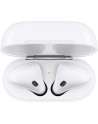 Apple AirPods with Charging Case (Wired)