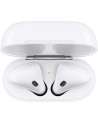 Apple AirPods with Charging Case (Wired)